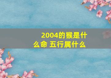 2004的猴是什么命 五行属什么